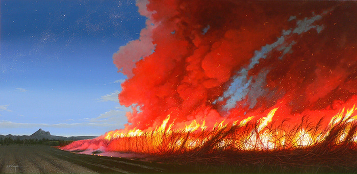 Big Burn, Murwillumbah by Scott McDougall | Lethbridge Gallery